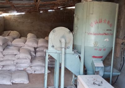 Chicken farming in Sierra Leone